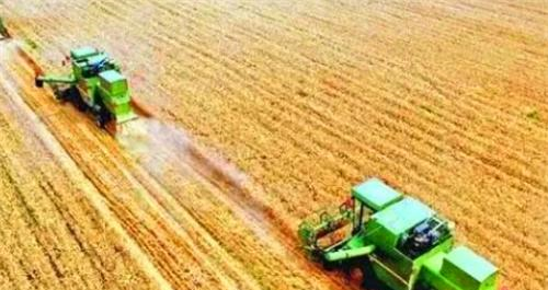 同样是人口大国,为何中国满世界买粮食,而印度向全世界出口粮食休闲区蓝鸢梦想 - Www.slyday.coM 同样是人口大国,为何中国满世界买粮食,而印度向全世界出口粮食休闲区蓝鸢梦想 - Www.slyday.coM