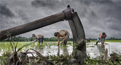 同样是人口大国,为何印度向全世界出口大米,而中国满世界买大米休闲区蓝鸢梦想 - Www.slyday.coM 同样是人口大国,为何印度向全世界出口大米,而中国满世界买大米休闲区蓝鸢梦想 - Www.slyday.coM