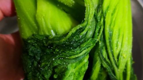 婆婆传统腌酸菜做法,简单好学,味道正宗,而且还不容易生白花!休闲区蓝鸢梦想 - Www.slyday.coM 婆婆传统腌酸菜做法,简单好学,味道正宗,而且还不容易生白花!休闲区蓝鸢梦想 - Www.slyday.coM