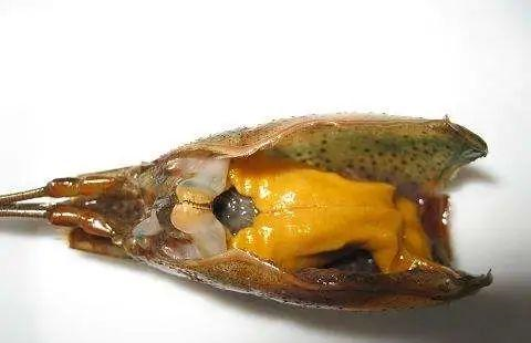 虾黄虾脑虾屎傻傻分不清楚店家说不懂别乱吃