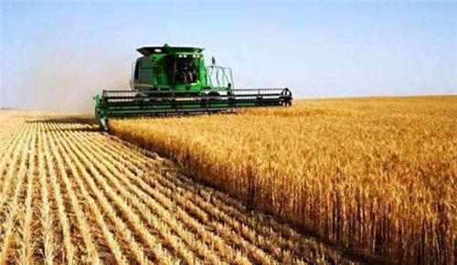 同样是人口大国,为何印度向全世界出口大米,而中国满世界买大米休闲区蓝鸢梦想 - Www.slyday.coM 同样是人口大国,为何印度向全世界出口大米,而中国满世界买大米休闲区蓝鸢梦想 - Www.slyday.coM