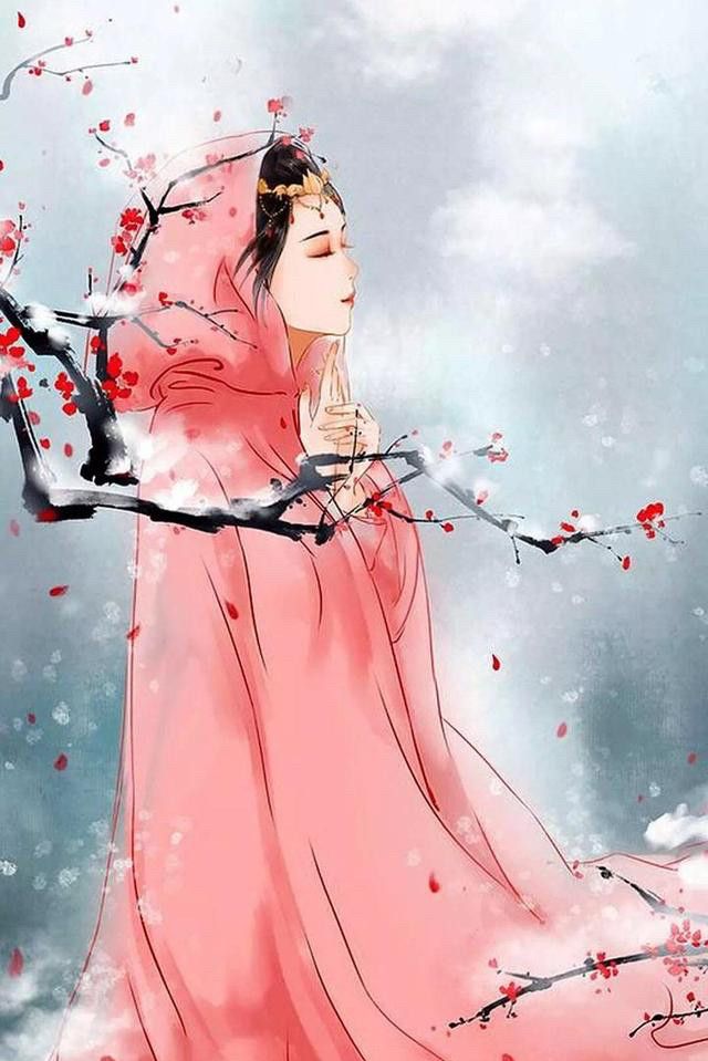 2/ 9古风壁纸雪中红梅花枝俏,踏雪寻梅,只为冬天里的那一抹香1/ 9古风