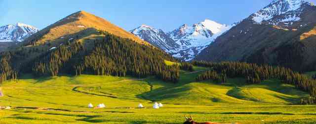 新疆人什么特征