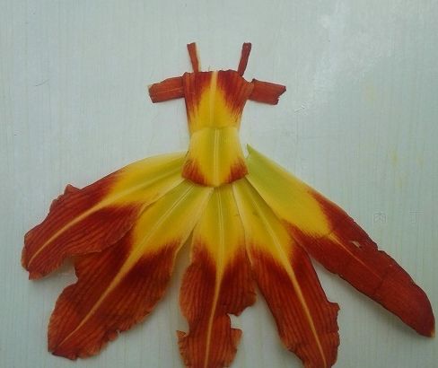 教你用花瓣制作漂亮的幼儿手工diy花裙子的方法