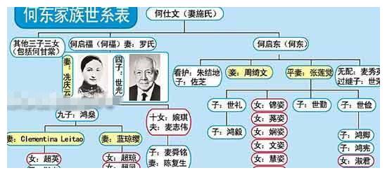 香港何氏家族谱系图片