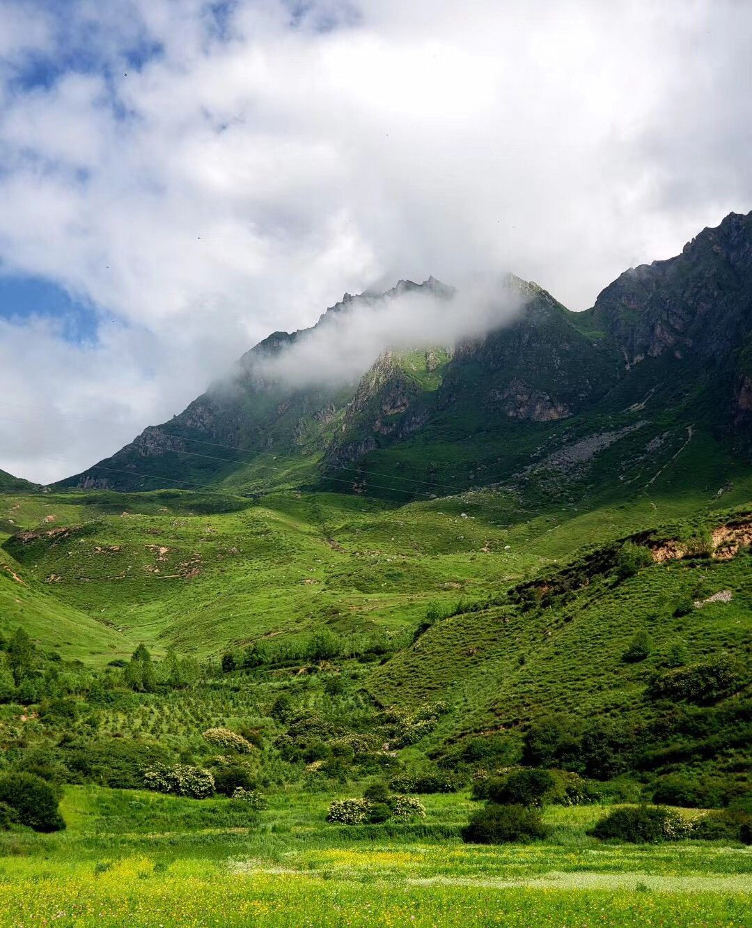 甘南藏族自治州冶力关风景区秀美风光