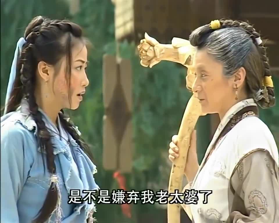 倚天屠龙记:蛛儿为找张无忌,离开了灵蛇岛,金花婆婆竟不怪罪她