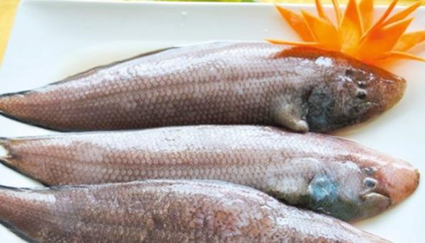 市场卖10块钱一斤的龙利鱼,鱼贩子自己都不吃,多数人还傻傻不知休闲区蓝鸢梦想 - Www.slyday.coM 市场卖10块钱一斤的龙利鱼,鱼贩子自己都不吃,多数人还傻傻不知休闲区蓝鸢梦想 - Www.slyday.coM