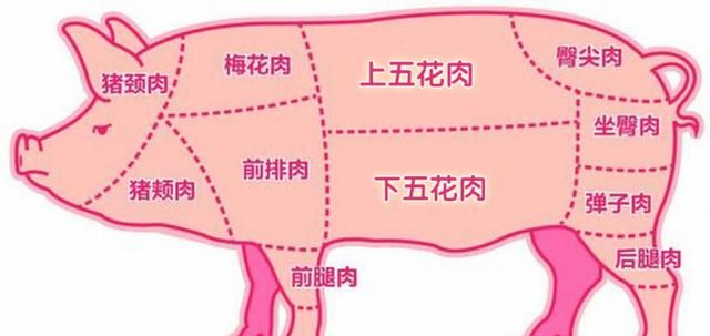 买五花肉,要分清"上五花"和"下五花",差别挺大,别再乱买了|五花肉