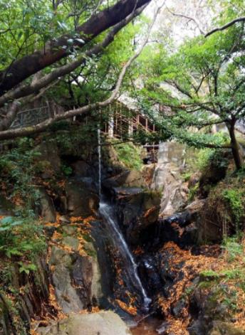 我愛自駕遊之太鶴山旅行日記