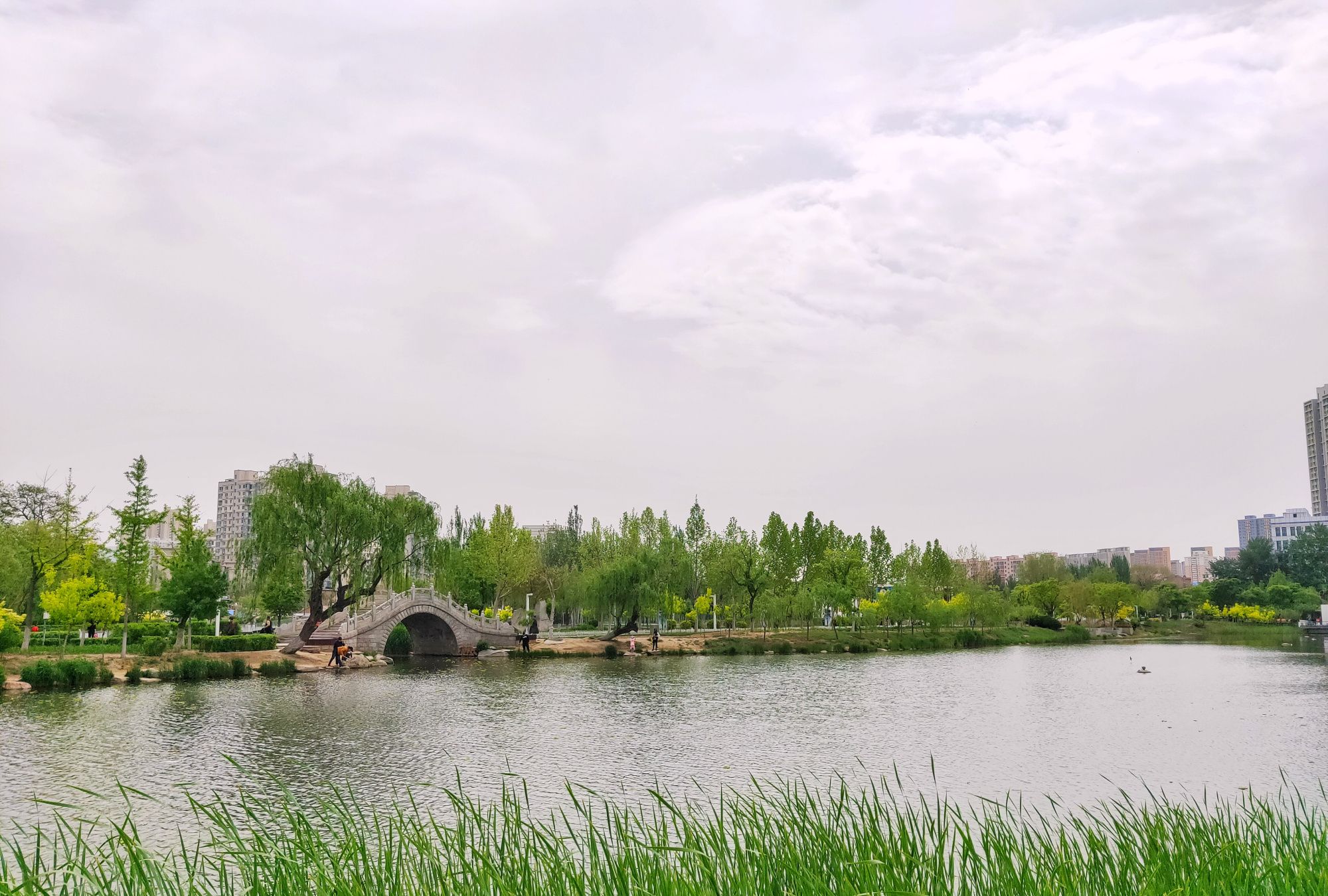 大连金州向应公园