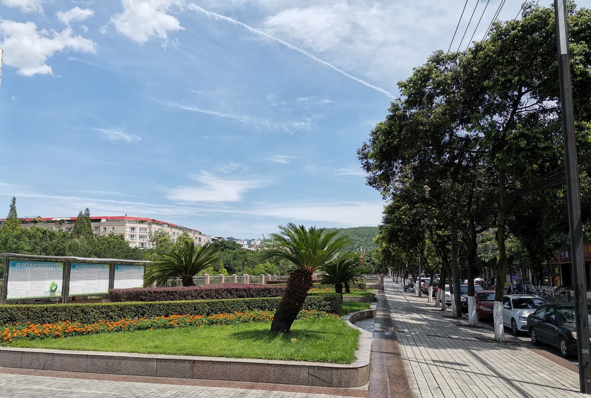 成都龙泉"最美街道"出炉,就在龙泉山下