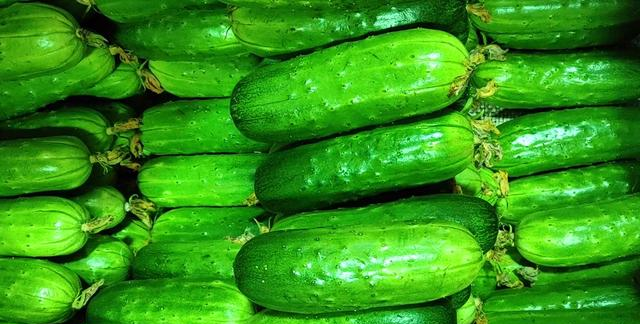 黄瓜不能随便买,要避开1个误区,牢记3个基本点,一挑一个准休闲区蓝鸢梦想 - Www.slyday.coM 黄瓜不能随便买,要避开1个误区,牢记3个基本点,一挑一个准休闲区蓝鸢梦想 - Www.slyday.coM