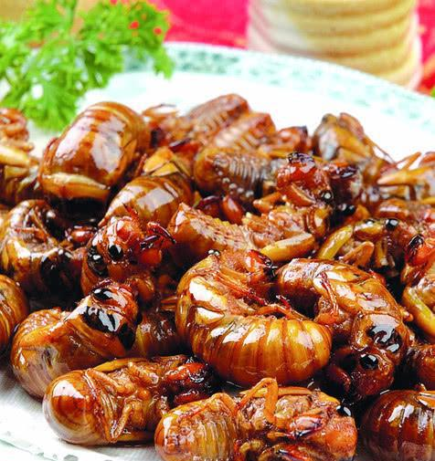 油炸金蝉,万万别焯水,这样处理下再炸,焦香又酥脆,特诱人!__财经头条