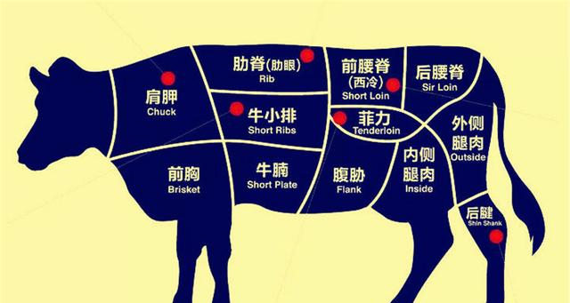 牛肉分为多种不同的部位牛肉可以说是划分最细致的肉类之一了,因为
