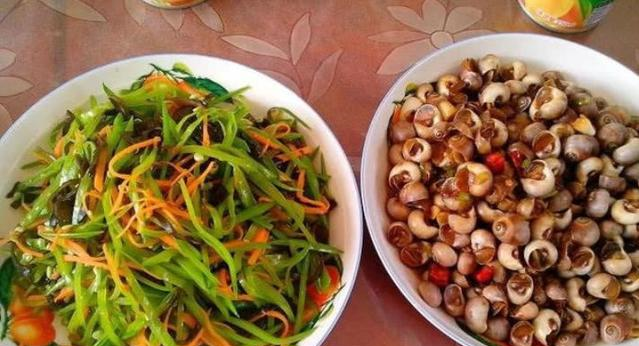 老婆在家做的丰盛晚餐，我拍照后发朋友圈，老板看后悄悄给我留言休闲区蓝鸢梦想 - Www.slyday.coM