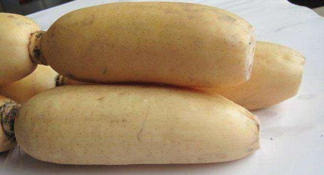 莲藕也有区别,七孔和九孔你知道有什么不同吗?前半辈子都白吃了休闲区蓝鸢梦想 - Www.slyday.coM 莲藕也有区别,七孔和九孔你知道有什么不同吗?前半辈子都白吃了休闲区蓝鸢梦想 - Www.slyday.coM