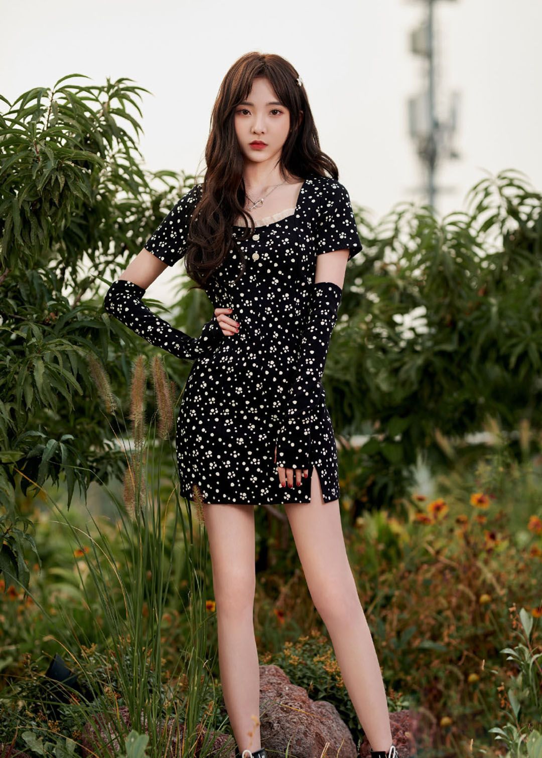 《美女系列》——郑乃馨「上」__财经头条