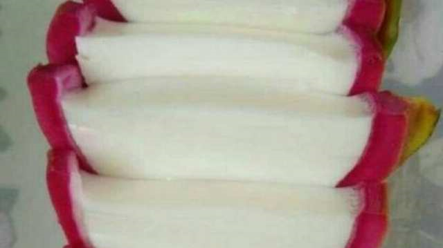 媳妇把牛奶倒火龙果里,我骂她是败家娘们,尝一口却说做的太少了休闲区蓝鸢梦想 - Www.slyday.coM 媳妇把牛奶倒火龙果里,我骂她是败家娘们,尝一口却说做的太少了休闲区蓝鸢梦想 - Www.slyday.coM