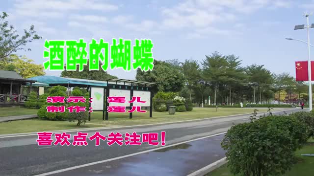 酒醉的蝴蝶广场舞简单适合初学者练习赶紧学起来