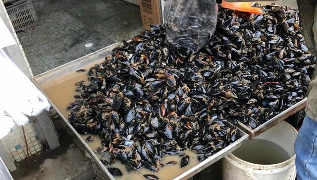 买海虹时，小贩身边放着的漏勺，竟然藏着“3个秘密”，涨知识了休闲区蓝鸢梦想 - Www.slyday.coM