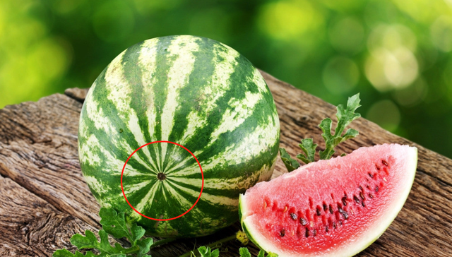 继二月份西瓜雪之后,南极惊现“大草原”,到底是怎么...