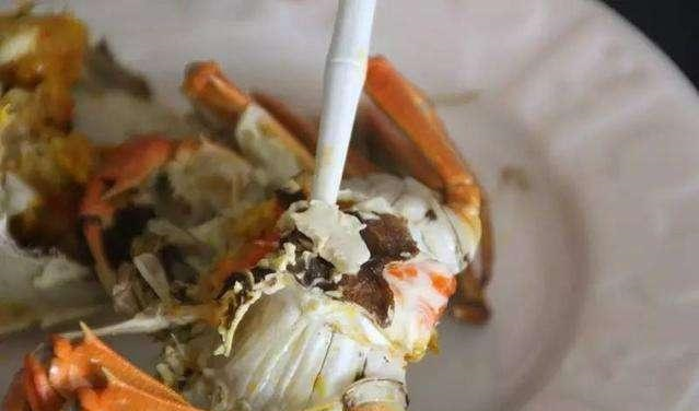 螃蟹公的好?还是母的好?海鲜老板透露:很多人挑错,吃的全是油休闲区蓝鸢梦想 - Www.slyday.coM 螃蟹公的好?还是母的好?海鲜老板透露:很多人挑错,吃的全是油休闲区蓝鸢梦想 - Www.slyday.coM