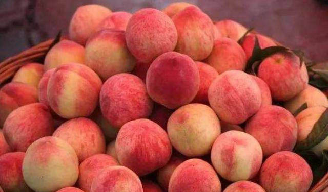 被人遗忘的古老水果，脆甜可口，儿时常吃，现在却很少有，太可惜休闲区蓝鸢梦想 - Www.slyday.coM