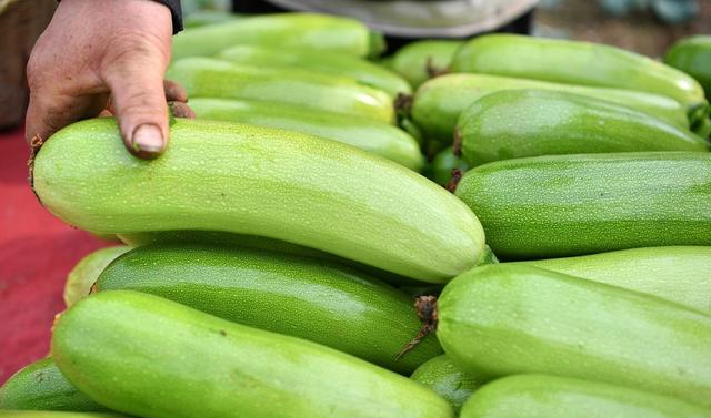 教你做成小吃糊塌子,鲜香美味吃不够|笋瓜|西葫芦|蔬菜_新浪新闻