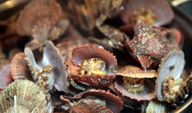 蒸扇贝时直接上锅蒸就废了教你一招扇贝肉质鲜嫩不回缩