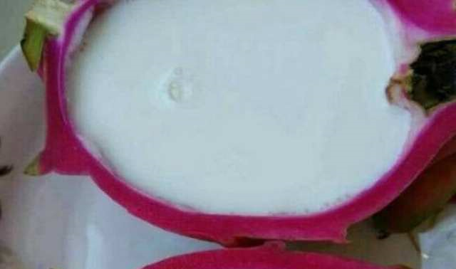 媳妇把牛奶倒火龙果里,我骂她是败家娘们,尝一口却说做的太少了休闲区蓝鸢梦想 - Www.slyday.coM 媳妇把牛奶倒火龙果里,我骂她是败家娘们,尝一口却说做的太少了休闲区蓝鸢梦想 - Www.slyday.coM