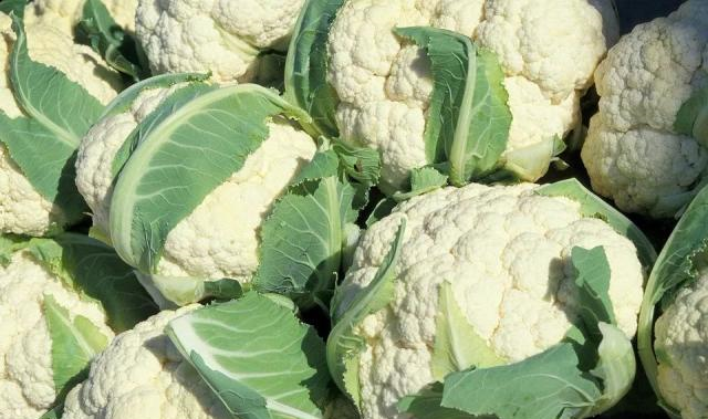 买花菜时选散花还是紧花老菜农别再买错了难吃又浪费钱