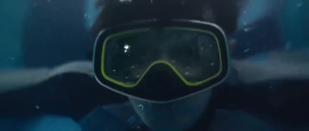 夺命巨鲨 新浪网