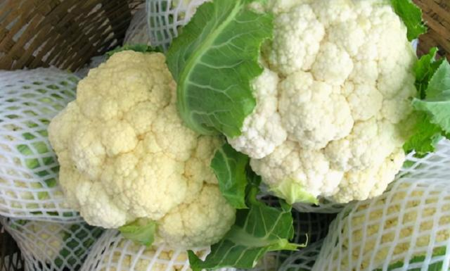 爱吃花菜的人要留意了散花和紧花要分清别再胡乱瞎买