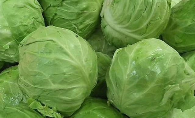 包菜,挑结实的好还是松散的好?菜农教你1招,别老傻傻买错!休闲区蓝鸢梦想 - Www.slyday.coM 包菜,挑结实的好还是松散的好?菜农教你1招,别老傻傻买错!休闲区蓝鸢梦想 - Www.slyday.coM