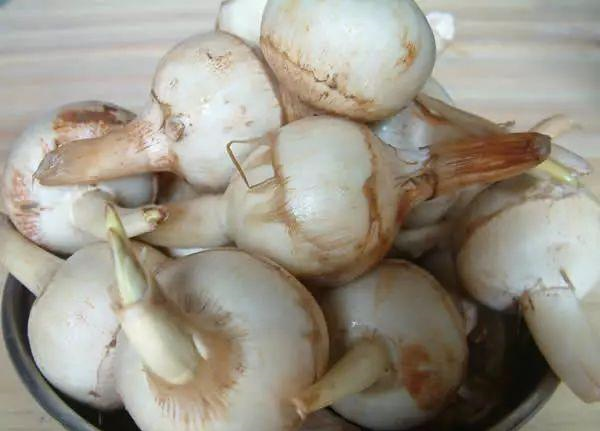 北方人直接扔掉它，南方人却当块宝，香辣开胃，还能保护牙齿！休闲区蓝鸢梦想 - Www.slyday.coM