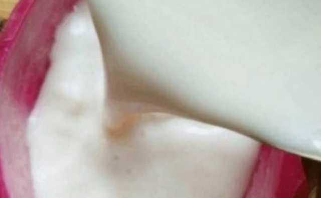 媳妇把牛奶倒火龙果里,我骂她是败家娘们,尝一口却说做的太少了休闲区蓝鸢梦想 - Www.slyday.coM 媳妇把牛奶倒火龙果里,我骂她是败家娘们,尝一口却说做的太少了休闲区蓝鸢梦想 - Www.slyday.coM