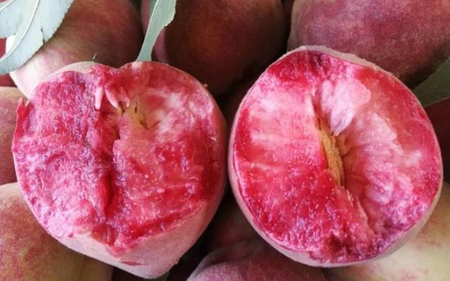 被人遗忘的古老水果，脆甜可口，儿时常吃，现在却很少有，太可惜休闲区蓝鸢梦想 - Www.slyday.coM