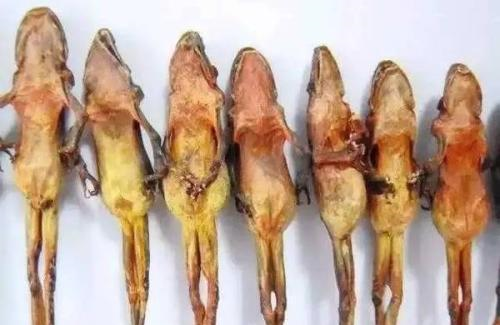 吃过2种的那你一定很有钱,网友:看看就好|食材|乌鱼|荔枝_新浪新闻