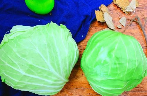 同样是包菜圆包菜和扁包菜有啥区别知道后别再乱买了