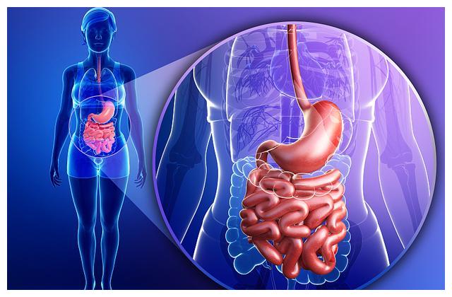 你肠胃好吗?如果有这些行为,千万别再这样做