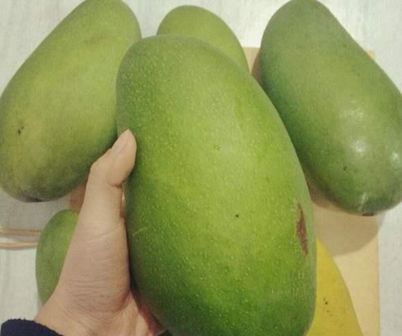 对于这种青芒果,它的质地是比较硬的,如果说我们买来的青芒太硬没法吃