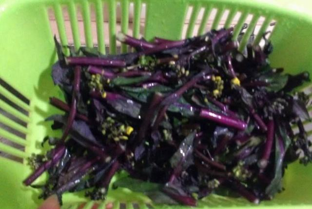 炒红菜苔时,不少人把这1步“忽略”了,难怪吃着不脆,还不入味休闲区蓝鸢梦想 - Www.slyday.coM 炒红菜苔时,不少人把这1步“忽略”了,难怪吃着不脆,还不入味休闲区蓝鸢梦想 - Www.slyday.coM