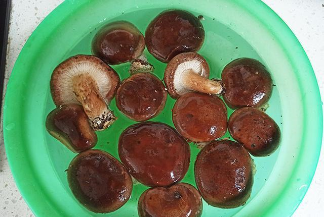 鸡肉配上香菇,放在高压锅中简单一炖,出锅后全家人都吃嗨了休闲区蓝鸢梦想 - Www.slyday.coM 鸡肉配上香菇,放在高压锅中简单一炖,出锅后全家人都吃嗨了休闲区蓝鸢梦想 - Www.slyday.coM