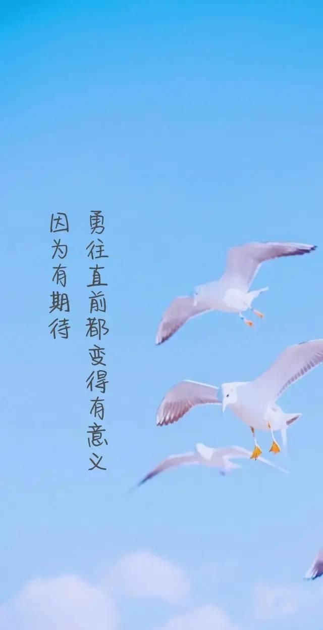 12张正能量早安图片带字,10句励志语录