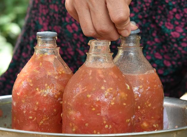 农村婆婆这样做番茄酱,同事们尝后都羡慕,家有一老,如有一宝啊_安欣
