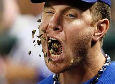 看了老外吃瓜子的场景中国网友笑得肚子疼你对嗑还是否有误