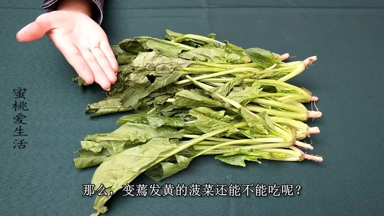 菠菜发黄变蔫还能吃吗这么多年一直吃错了,一定要重视,快看看