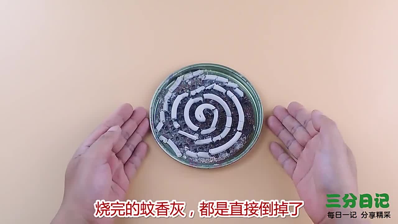 烧完的蚊香灰可是个宝很多人不懂有啥用原来作用这么大