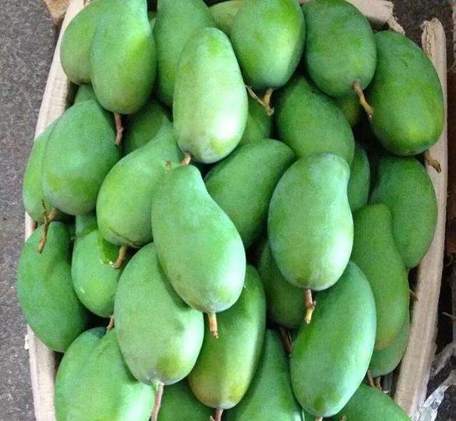 买的青芒太硬没法吃学会这个催熟小妙招让你3天就吃到口